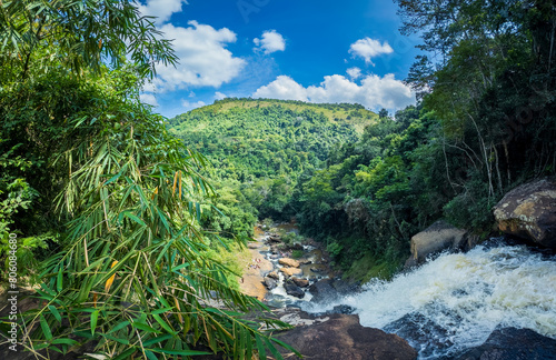 Lush Green Rainforest Landscape with Cascading River © F.C.G.