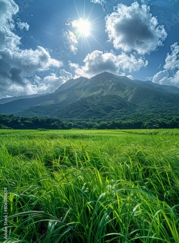 Mount Fuji in the distance with green grass field in the foreground