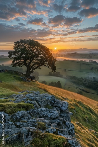 Stunning sunrise over a rural landscape with a large tree in the foreground photo