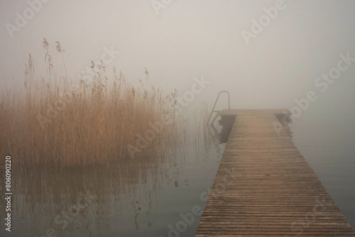 pontile su lago con nebbia photo