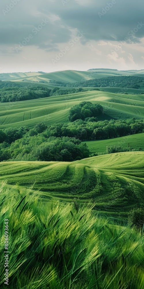 Green rolling hills of Tuscany, Italy