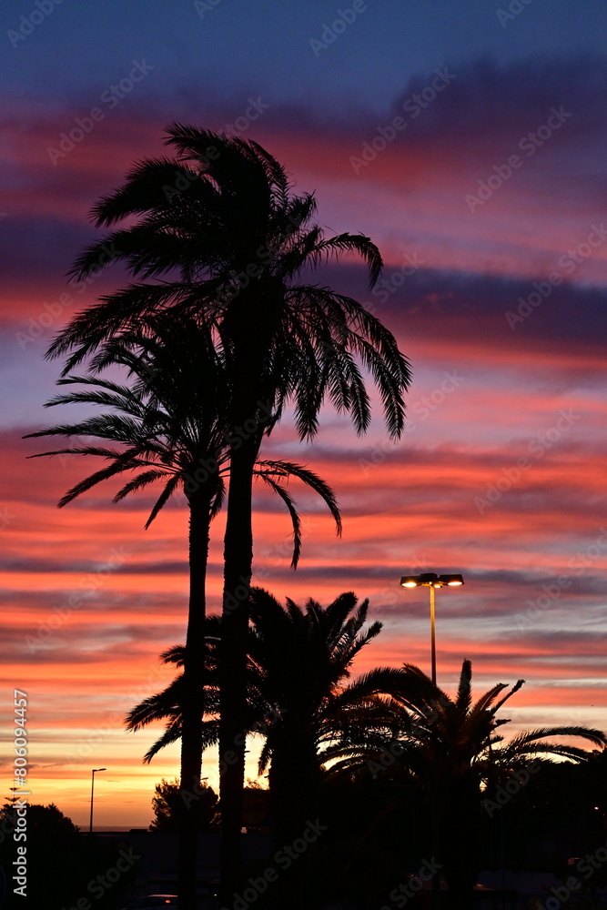 Obraz premium El Esplendor del Amanecer: Un Despertar de Tonos Dorados, Rojos, Violetas y Azules, Iluminando el Cielo mientras las Palmeras Proyectan Sombras en la Playa
