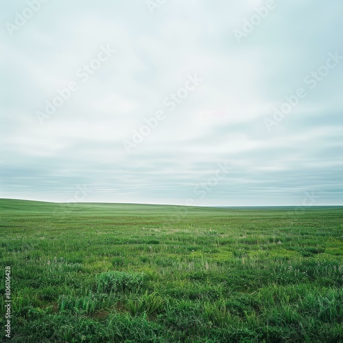 Grasslands under the vast sky