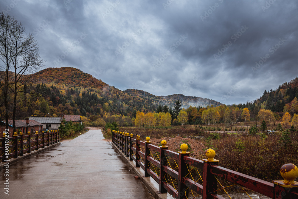 Village forest in the hinterland of Xiaoxinganling, Yichun City, Heilongjiang Province Village forest in the hinterland of Xiaoxinganling, Yichun City, Heilongjiang Province