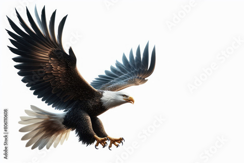Eagle on white background. Space for text.