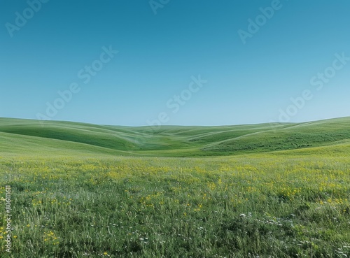 Green rolling hills with yellow wildflowers under blue sky