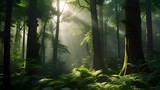 Forest Radiance: Sun Rays Piercing Through the Enchanted Woods/generative by ai