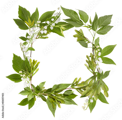 Frame from plants and flowers isolated on white background. Square frame from ash branches, leaves and snowdrops flowers