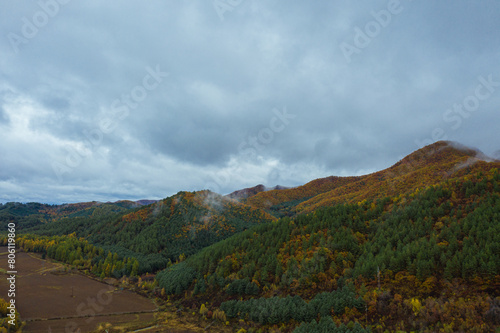 Fototapeta Naklejka Na Ścianę i Meble -  Aerial photography of the forest in autumn in the hinterland of Xiaoxinganling, Yichun City, Heilongjiang Province