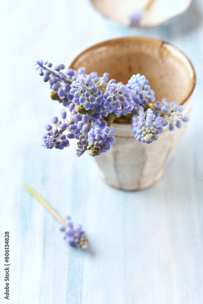 Purple flowers on bright wooden background. Close up. Copy space. Purple flowers on bright wooden background. Close up. Copy space.