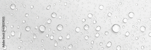 Wallpaper Mural Water droplets on a white background. water drop texture on white	background
 Torontodigital.ca