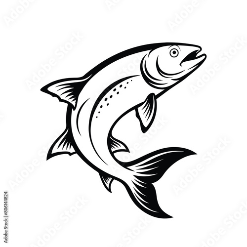 Salmon ink sketch style on white background, vector illustration