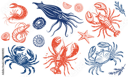 Seafood animals set with lobster, crab, squid and shrimps  in sketch outline style on white background, vector illustration