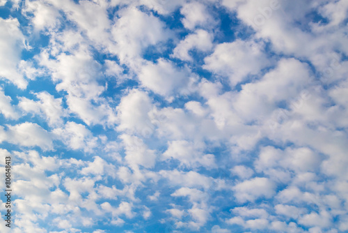 Cloudy sky. White cumulus clouds on a clear blue sky.