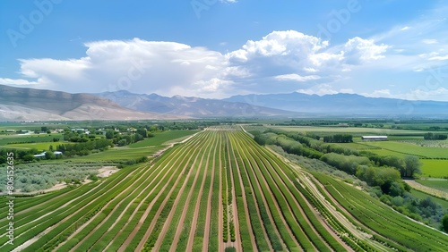 Efficient irrigation systems in agriculture promote sustainable farming practices and water conservation. Concept Agriculture  Irrigation Systems  Sustainable Farming  Water Conservation  Efficiency