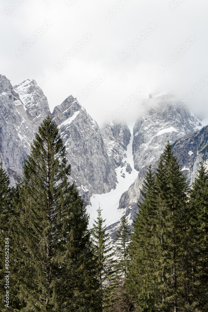 A snowy mountains in the clouds behind some evergreen trees. A snowy mountains in the clouds behind some evergreen trees.