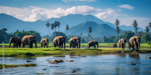 Gentle Giants: Herd of Elephants Wades Across River with Grace and Strength photo