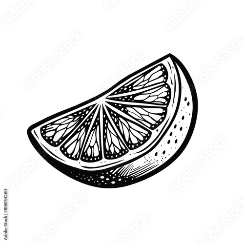 Slice of lemon in outline sketch style on white background, vector illustration
