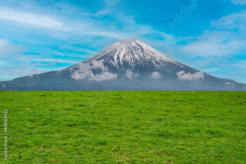 Panoramic view of lush grass on the green field in front of Fuji mountain  Japan. 
