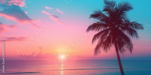 Palm Tree on Beach by Ocean at Sunset