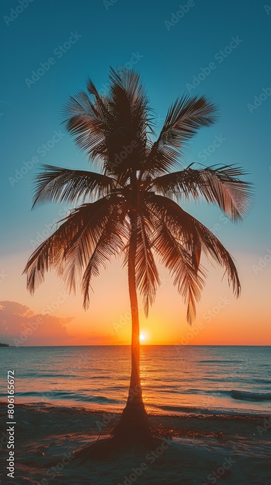 Silhouette Palm Tree on Sandy Beach