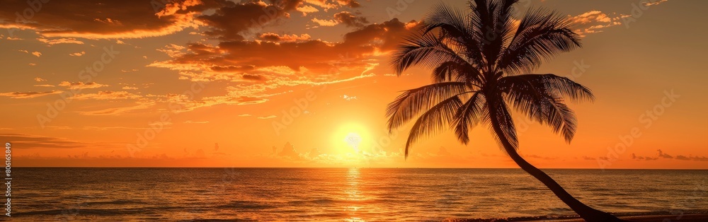 Palm Tree Standing on Sandy Beach