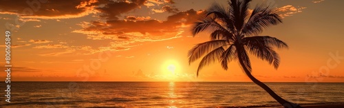 Palm Tree Standing on Sandy Beach © BrandwayArt