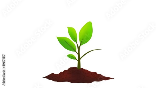 young plant growing up on ground with raining drop, Save the world environment concept, drop of water, plants growing up on ground with raining drop save world, Emerging Life and Vital Growth