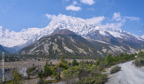 A hiking trail from village Ngawal to village Manang in the Annapurna Circuit trek, Nepal. Mountain chains at the background. Apple trees in the Manang valley. Apple plantation for the wine industry.