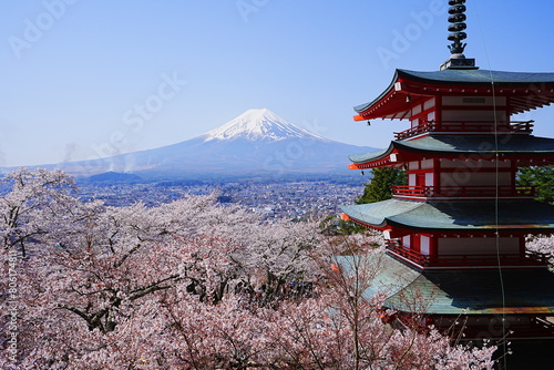 Mt. Fuji with Cherry Blossom and or Pink Sakura Flower and Five-story Pagoda over Blue Sky in Yamanashi, Japan - 日本 山梨県 新倉山浅間公園 春の桜 富士山 五重塔
