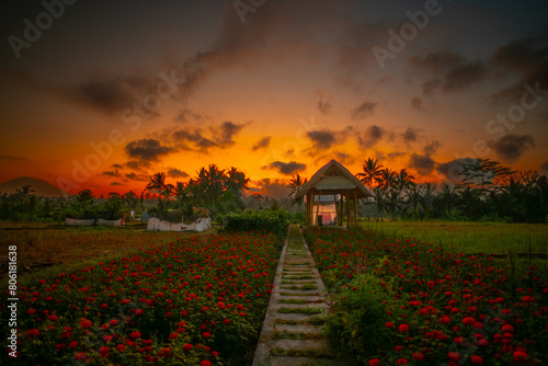 Asien, Indonesien, Bali