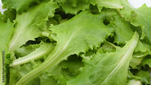 heap of green lettuce leaves,foglie di lattughino verde,macro close-up,rotating video photo