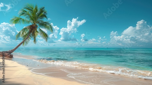 palm tree on tropical island beach on background blue sky with white clouds