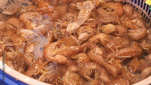 Mantis shrimp for sale at a bustling seafood market in Qingdao, China photo