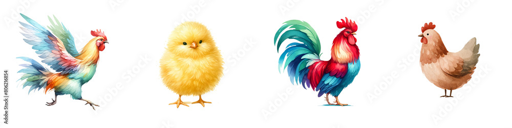 Obraz premium Watercolor set chicken on white background
