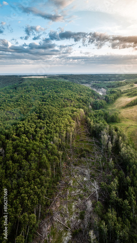 arieal photo of woods