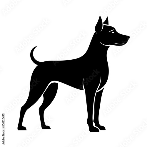 black silhouette of a dog