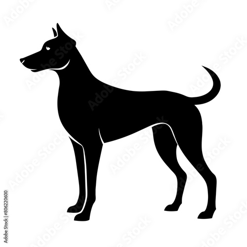 black silhouette of a dog