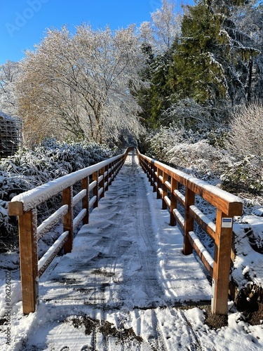 wooden bridge in winter forest