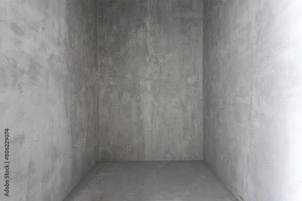 interior of the apartment without decoration in gray colors. rough finish interior of the apartment without decoration in gray colors. rough finish