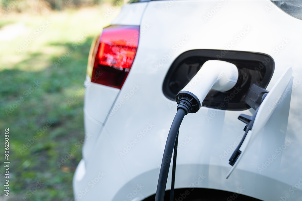 Close up of electric car inlet with a connected charging cable on a green background Close up of electric car inlet with a connected charging cable on a green background