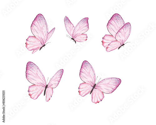 pink set butterfly pink watercolor blue butterfly set illustration design for fashion, t shirt, print, graphic all type decorative  © ulucsevda