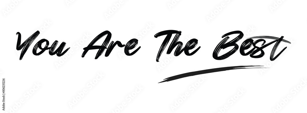 Fototapeta premium You are the Best Brush Hand drawn Typography Black text lettering isolated on the White background