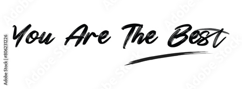 You are the Best Brush Hand drawn Typography Black text lettering isolated on the White background