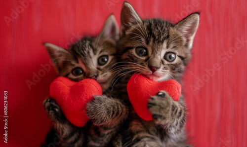 Two cute kittens holding heart-shaped plush toys in a closeup shot with a red background and Valentine's Day theme. High-definition photography captures the adorable cats with big eyes and paws holdin photo