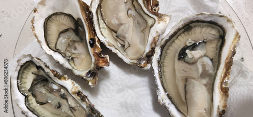 fresh oysters as luxury gourmet starter aperitive photo