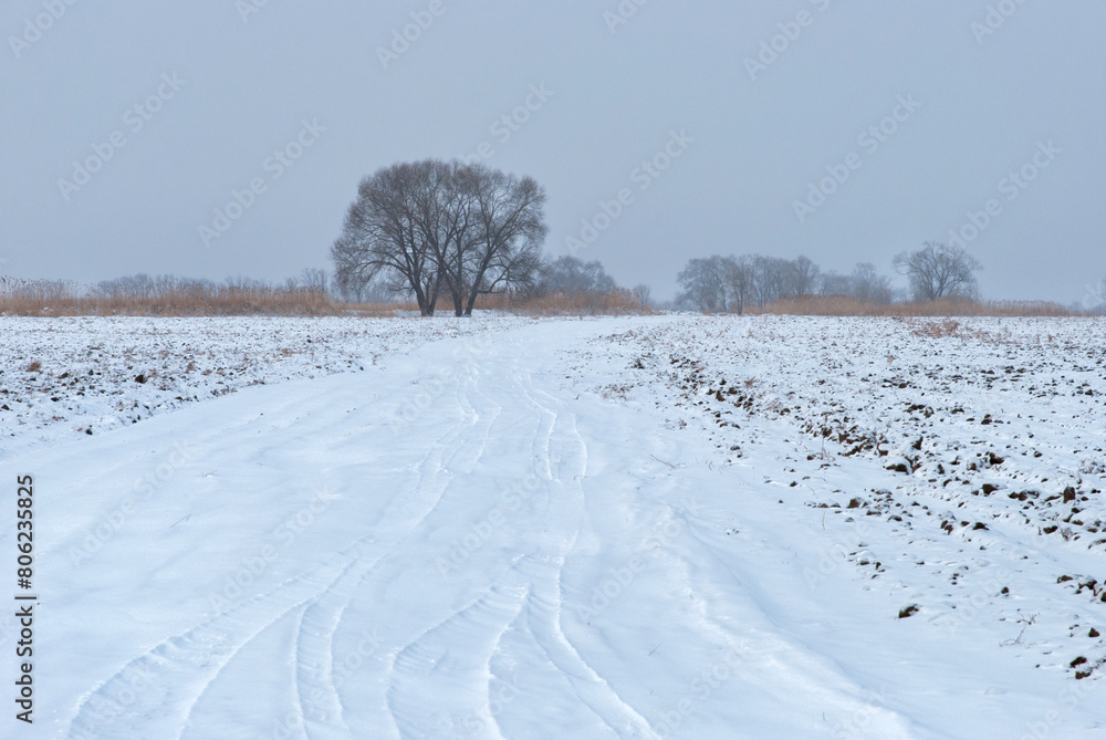 Obraz premium landscape with snow