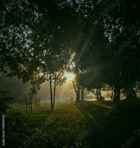 sunset in the park.  photo