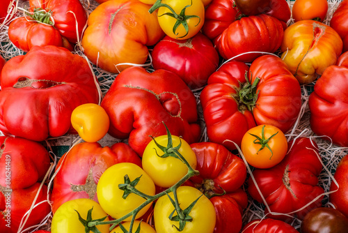 Fresh ripe coeur de boeuf tomatoes © robepco
