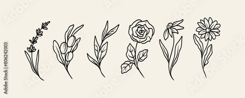 Line art flowers and branches set